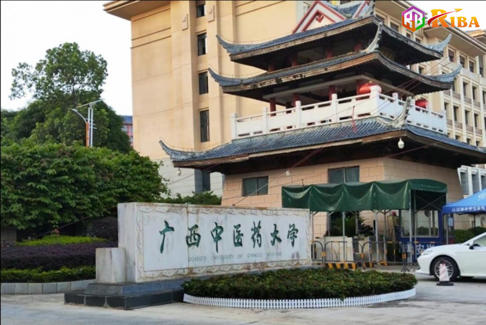 Hướng dẫn tuyển sinh sinh viên quốc tế của Đại học Y khoa Trung Quốc Quảng Tây năm 2024
