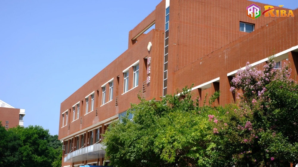 Chứng minh tài chính